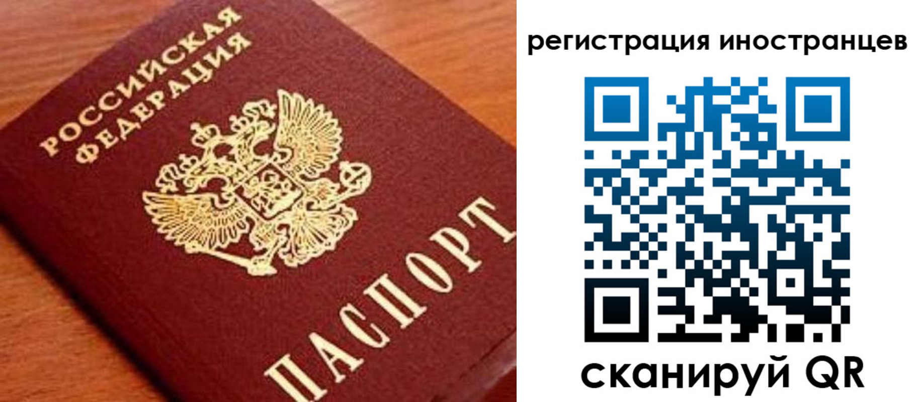 временная регистрация поиск в Шилке
